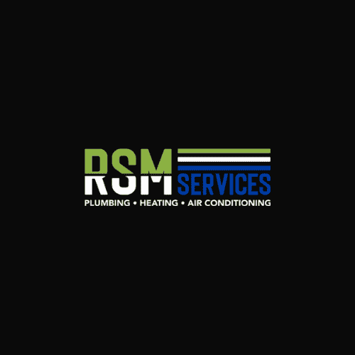 RSM Services  logo